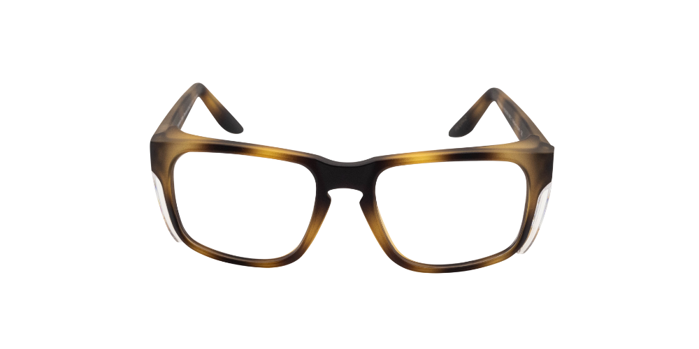 6 UGLY FISH FREESTONE